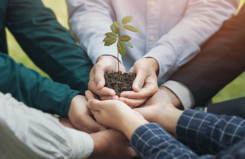 collaborateur entreprise écologique